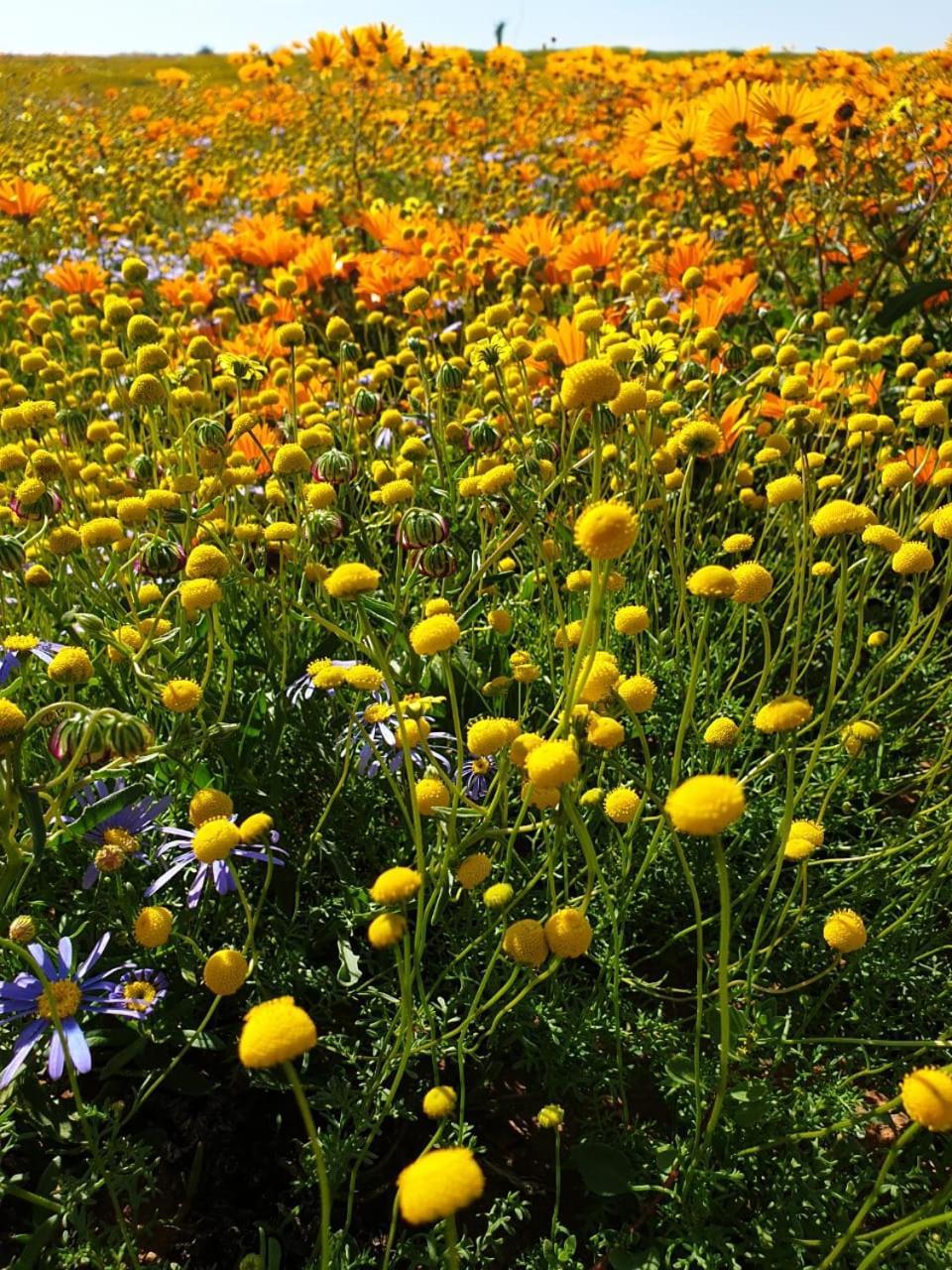 Namaqualand Eco Lodge Soebatsfontein Kültér fotó