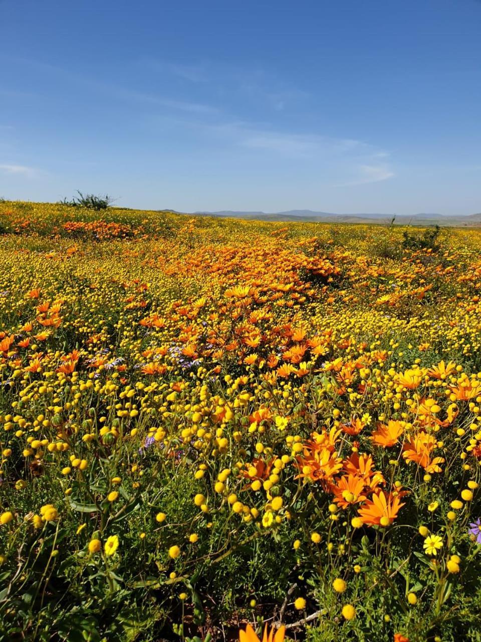 Namaqualand Eco Lodge Soebatsfontein Kültér fotó