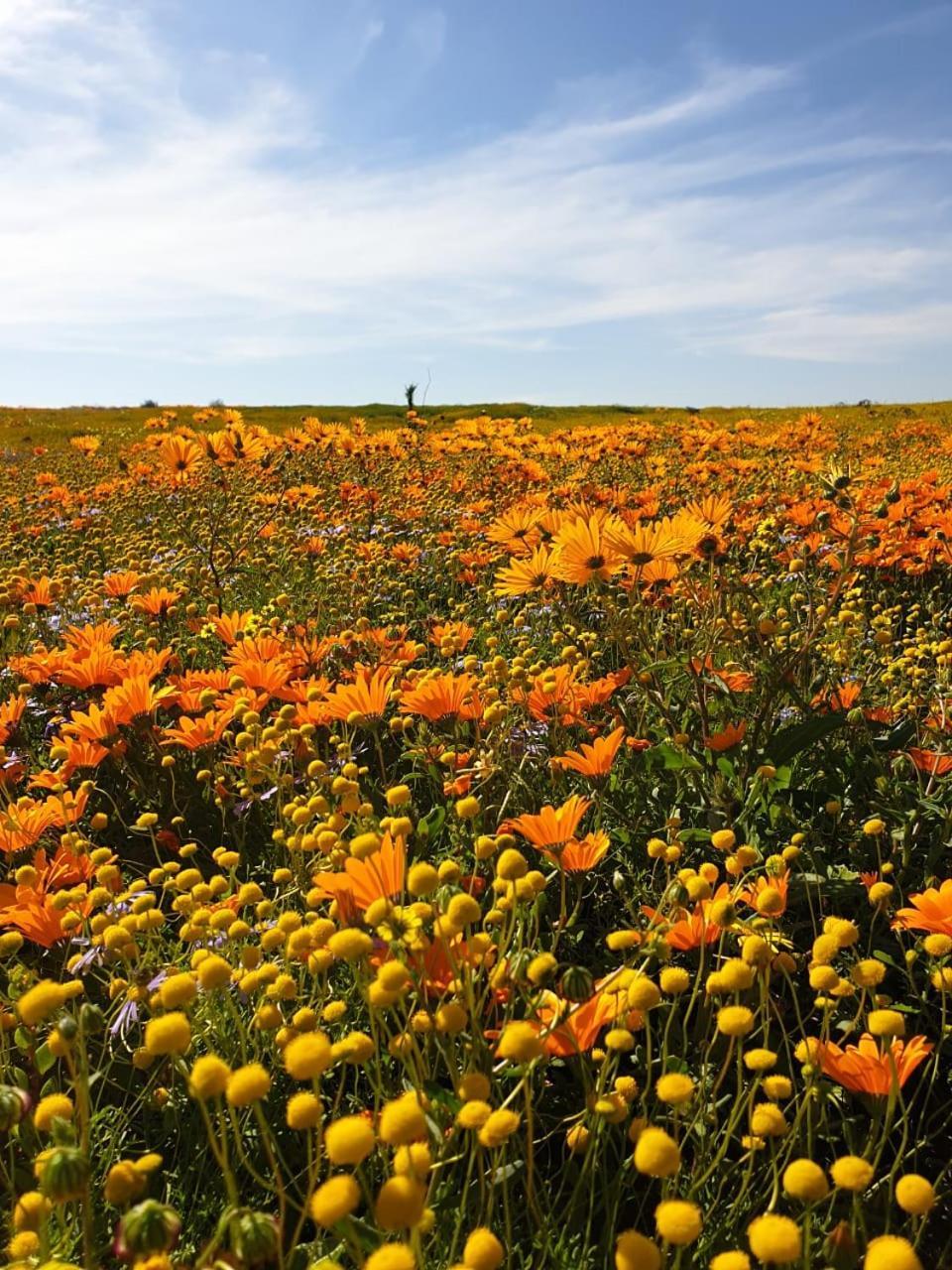 Namaqualand Eco Lodge Soebatsfontein Kültér fotó